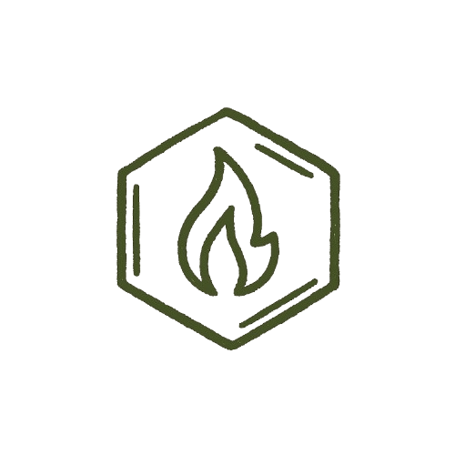 Anti-inflammatory Icon